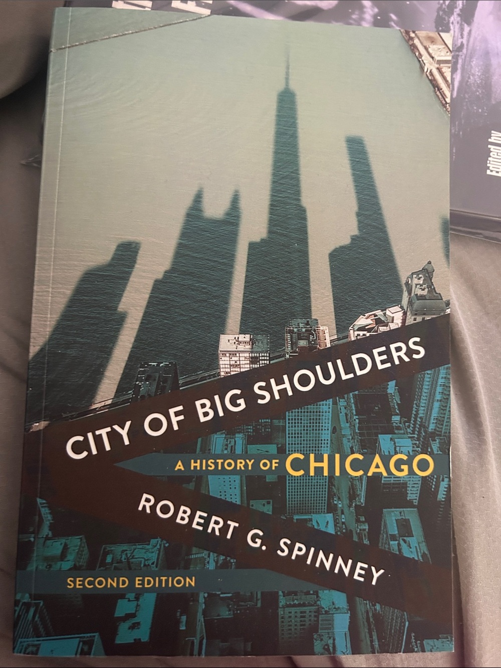 City of Big Shoulders: A History of Chicago — Teal Cover by Robert G. Spinney
